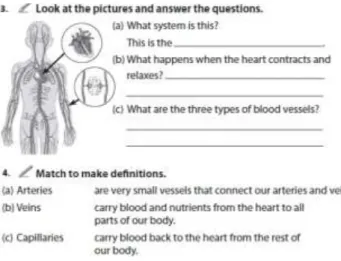 Figure 7  –  SC4 revision work sample (abridged) 
