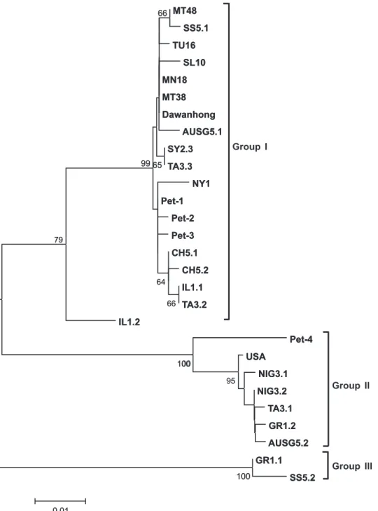 FIG.  2 - Unrooted phylogenetic tree based on the alignment of the 484 nucleotides of the 5’ terminus of the CP of different  GLRaV-3 isolates