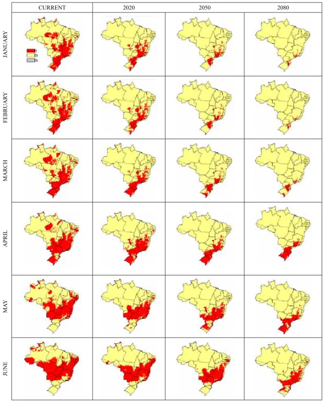 Figure 1. Distribution of risk areas for the occurrence of eucalyptus rust, considering the months of January to June, in the current period (average from 1961 to  1990) and in the future (2020, 2050 and 2080) for scenario A2.