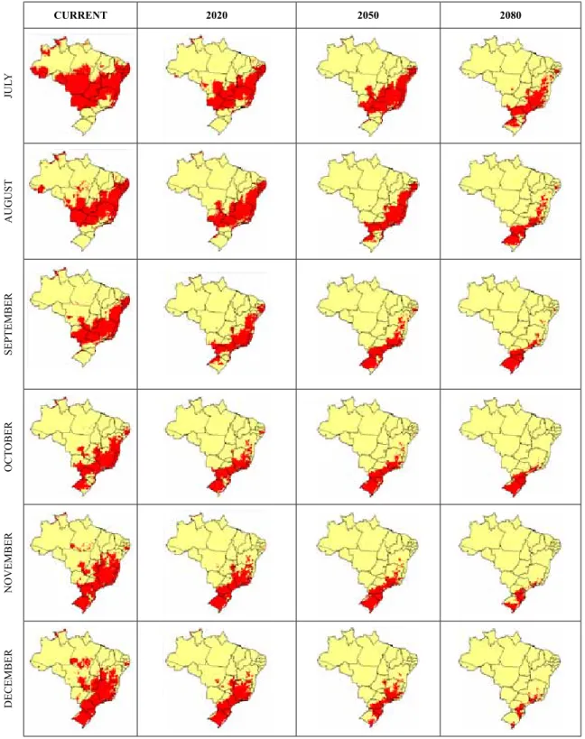 Figure 2. Distribution of risk areas for the occurrence of eucalyptus rust considering the months of July to December, in the current period (average from 1961 to  1990) and in the future (2020, 2050 and 2080) for scenario A2.