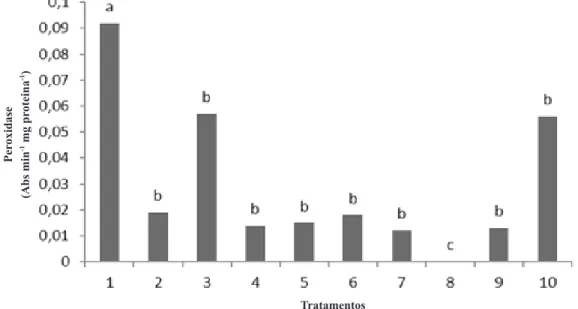 Figura 3. Atividade específica de catalase em micélio de Diplocarpon rosae, cultivado em meio BD contendo diferentes tratamentos, após 20 dias.