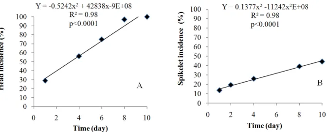 Figure 2. Disease progress lines of fusarium head blight: (A) head incidence (%) and (B) spikelet incidence (%), wheat cultivar Marfim.
