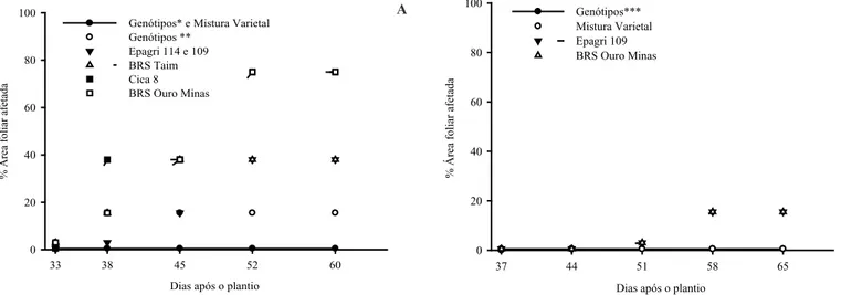 Figura 1. Progresso da severidade de brusone (Área Foliar Afetada) dos genótipos de arroz plantados isolados e em mistura em condições de  várzea (A) e terras altas (B)
