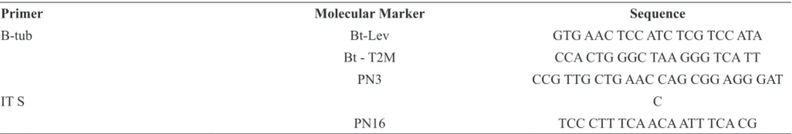 Table 1.  ITS region and β-tubulin genes employed as primers for the characterization of phytopathogenic fungi isolated from cocoa crop soils