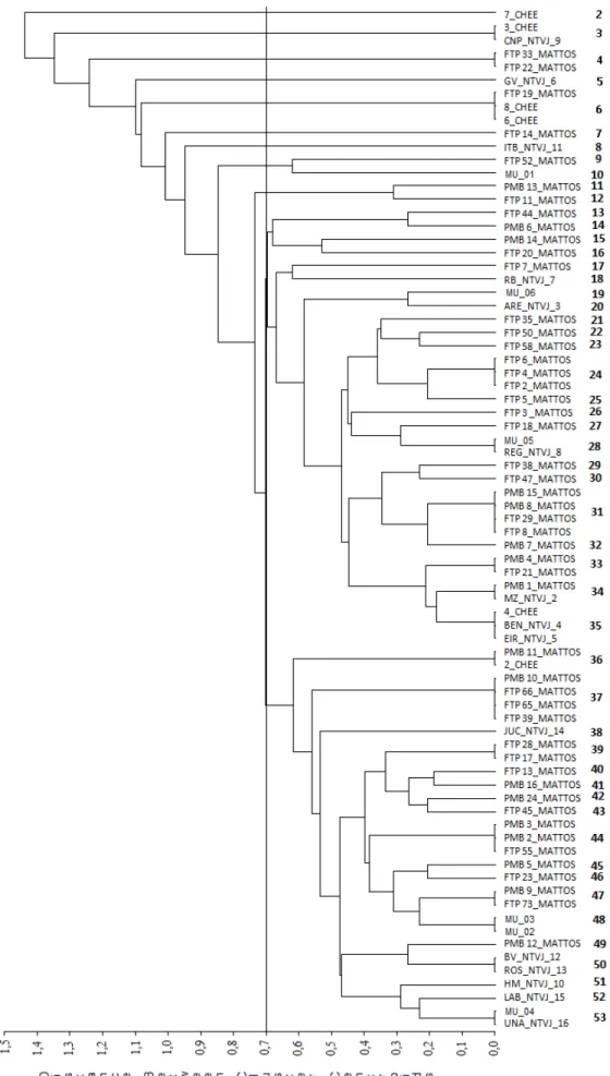Figure 2.  Dendrogram of Microcyclus ulei races described in Brazil, containing 53 races (except for the non-virulent wild one), thus numbering  starts from the number 2.