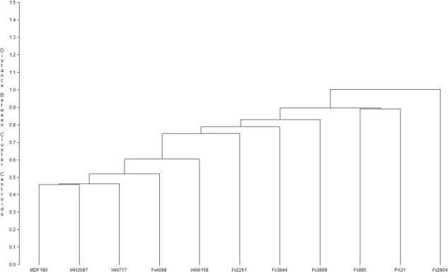 Figure 3. Dendrogram of differential clones used in this study and those used by Chee et al