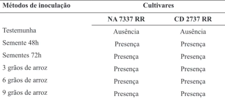Tabela 8. Incidência de M. phaseolina em plantas de soja. UEMS  Cassilândia (MS), 2015.