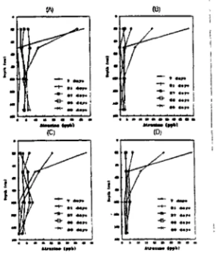 Figure 5 presents data of atrazine concentration in soil solution, for plot № 1 at each sampling date and for each line, and also average values