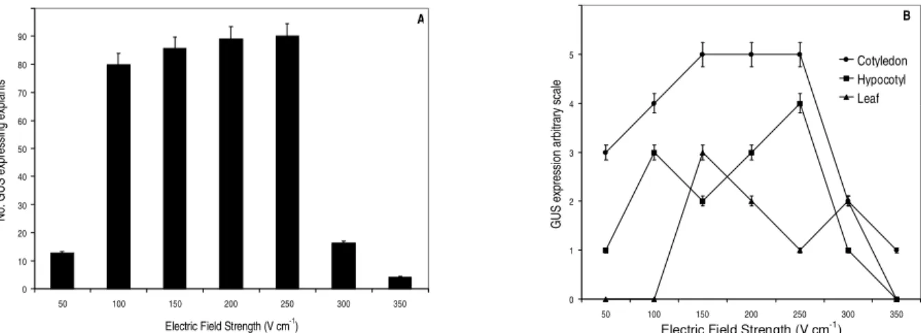 Figure 5 - Effect of electric field strength on GUS expression in electroporated tissues of S