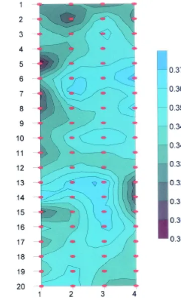 Figure 4 - Soil water content isolines for date (02/21/1995) at depth z=0.25 m. The points correspond to acess tube positions.