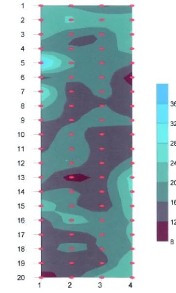 Figure 7 - Soil water storage isolines at the layer of 0 - 0.75m for 02/21/1995. The points correspond to acess tube positions.010 20 30 40 50 60 70 80280290300310320Depth: 0 to 0.75m