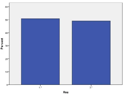 Gráfico 6 – Frequência dos anos/Cursos  