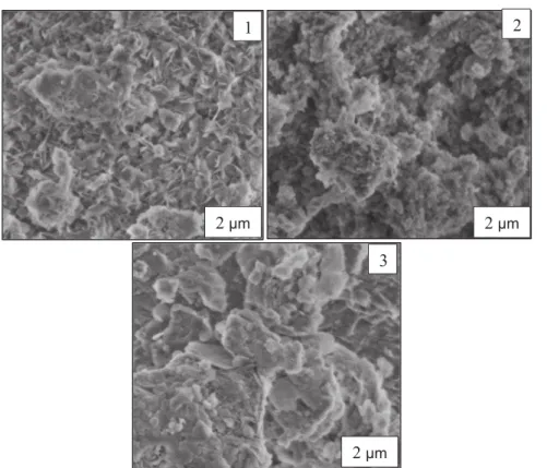 Fig. 14 SEM micrographs of Mg 3 Al 0.9 Bi 0.1 synthesised by co-precipitation method: 1as prepared LDH, 2 annealed at 650 °C and 3 reconstructed LDH in water at 80 °C