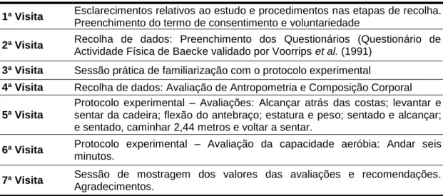 Tabela 4 – Síntese das etapas para recolha de dados 