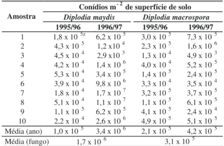 TABELA 1 - Densidade de conídios de Diplodia  spp. em restos culturais de milho (Zea mays) na área experimental, nas safras de 1995/96 e 1996/97, em Coxilha, RS