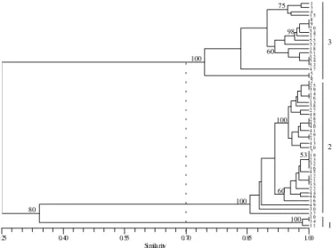 FIG. 1 - Dendrogram constructed with UPGMA clustering method among 55 isolates of Macrophomina phaseolina