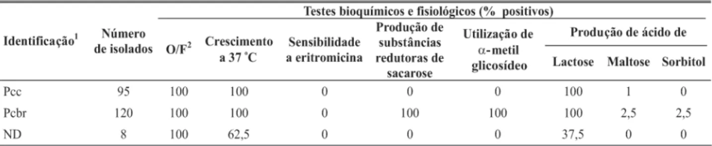 TABELA 2 - Resultados de testes bioquímicos e fisiológicos de 223 isolados de pectobactérias oriundos de batata (Solanum tuberosum)- tuberosum)-semente