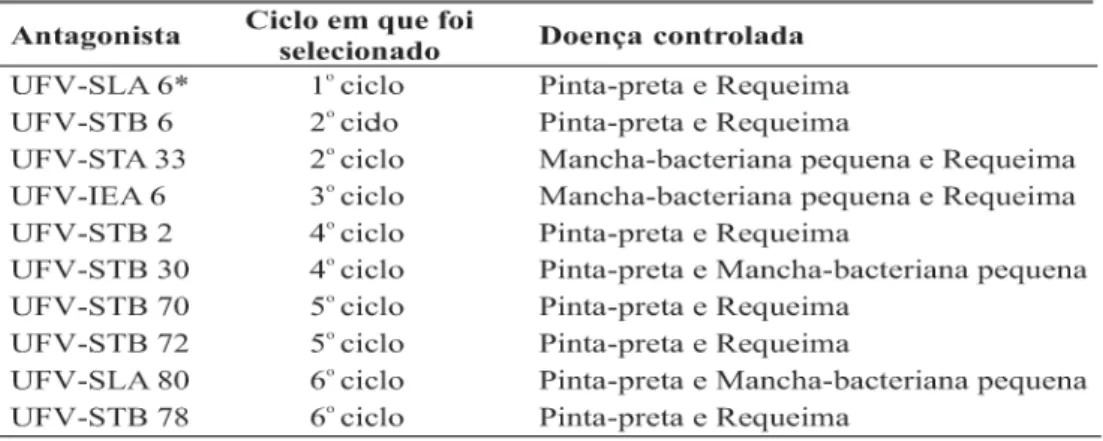 TABELA 1 - Antagonistas selecionados em diferentes ciclos de seleção massal, que apresentaram controle satisfatório para pelo menos duas doenças em plantas de tomateiro (Lycopersicon esculentum) cv