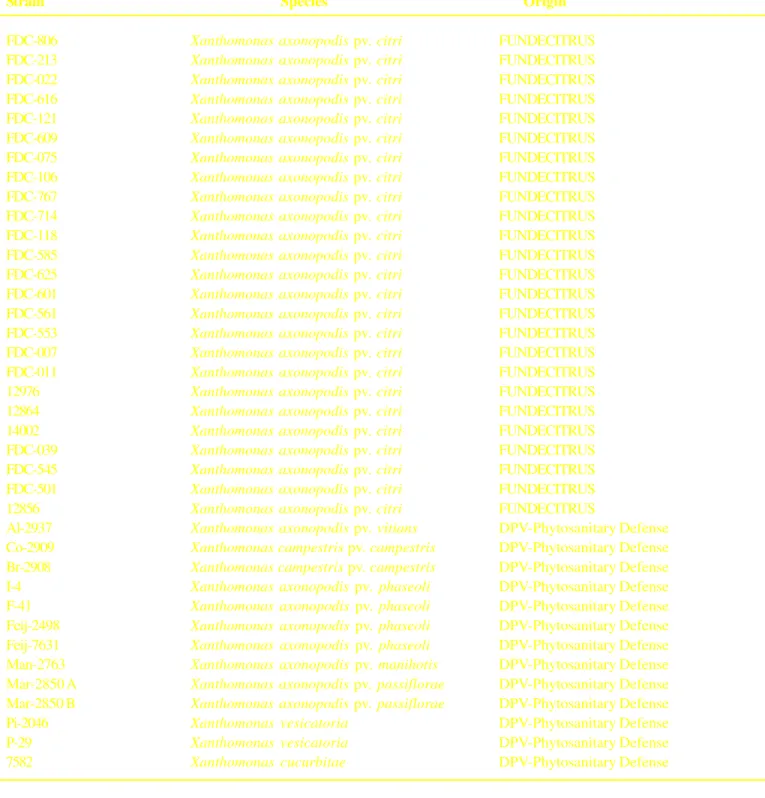 Table 1 – Xanthomonas spp. strains evaluated for bacteriocin production.