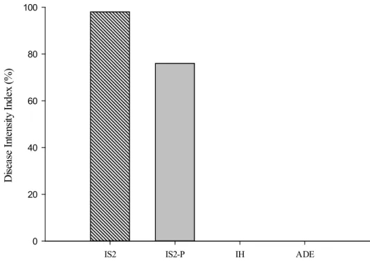 Figure 1. Average of aggressiveness presented by isolates inoculated in coffee seedlings.