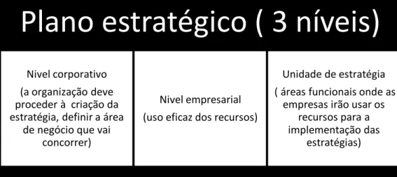 Ilustração 4 - Níveis Plano estratégico 