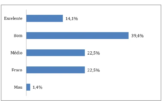 Gráfico 11 – Classificação do Website 
