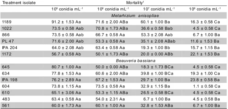 Table 3 -  Confirmed mortality (%) of Alabama argillacea caterpillars, by Metarhizium anisopliae and Beauveria bassiana isolates and conidia concentrations