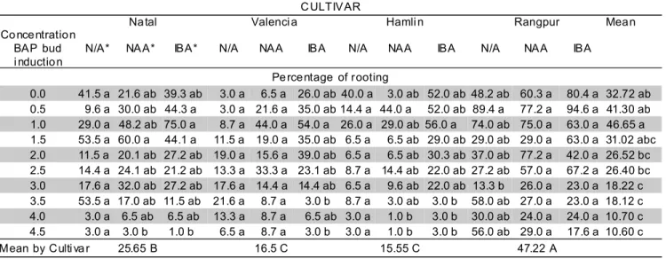 Figure 2 - Auxin sources and rooting of adventitious shoots of sweet oranges ‘Natal’, ‘Valência’ and ‘Hamlin’ and ‘Rangpur’
