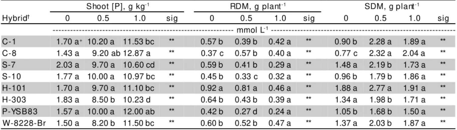 Table 2 - Effect of three P concentrations on total dry matter (TDM), RDM/SDM ratio, and plant height (PH) for eight grain sorghum hybrids.