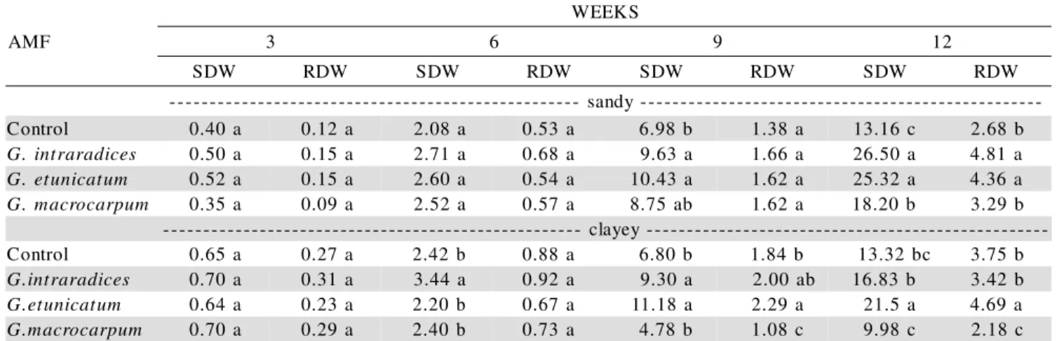 Table 2 - Shoot (SDW) and root (RDW) dry weights of soybean plants, every three weeks, cultivated in a clayey and a sandy soil, with or without (control) arbuscular mycorrhizal fungi