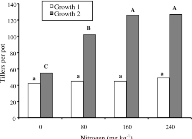 Figure 1 - Tillering of Tifton-85 at first and second growth periods, as affected by nitrogen rate