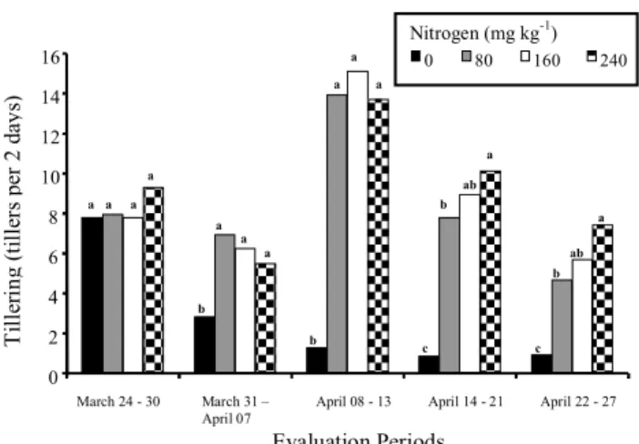 Figure 6 - Tillering of Tifton-85 in the first growth period as affected by time of evaluation and lag time of nitrogen fertilization after cutting