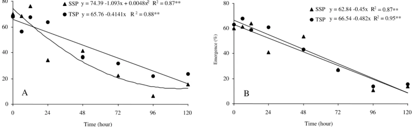 Figure 2 - Emergence of millet seedlings in the soil as a function of contact period of seeds with granular fertilizers single superphosphate (SSP) and triple superphosphate (TSP), when seeded in the absence (A) or presence (B) of phosphate fertilizers.