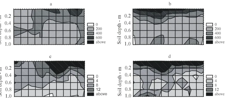 Figure 2 - L v  - root length density (a,b – m m -3 ) and  A p – root area (c,d – 10 -4 m 2 ) distributions in the 0.6-0.8 m soil profile under drip (a,c) and microsprinkler (b,d) irrigation systems in Petrolina.