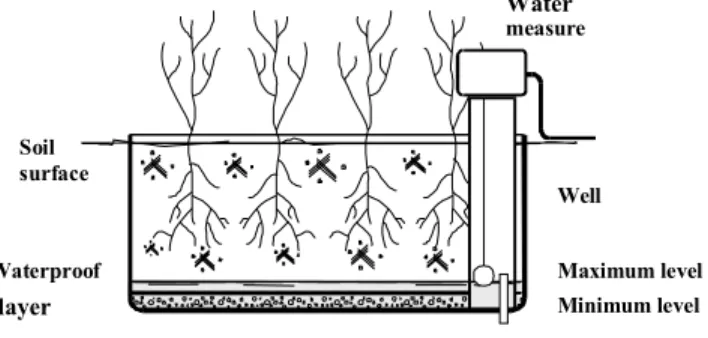 Figure 1 - Design of capillary ascension microlysimeter. Adapted from: Irrigation National Laboratory, University of Pisa, Italy