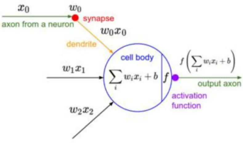 Figure 3 - Mathematical model of a neuron (Cadène et al., 2016) 