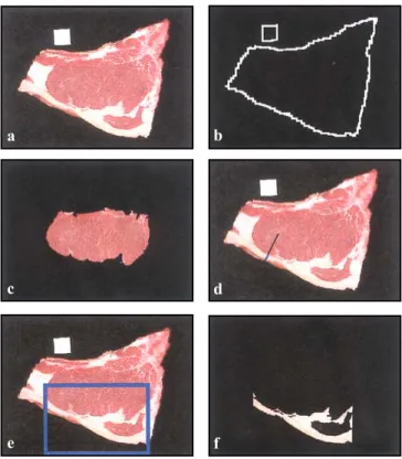 Figure 1 - Segmentation of selected parameters.  a) original digital image of a rib steak