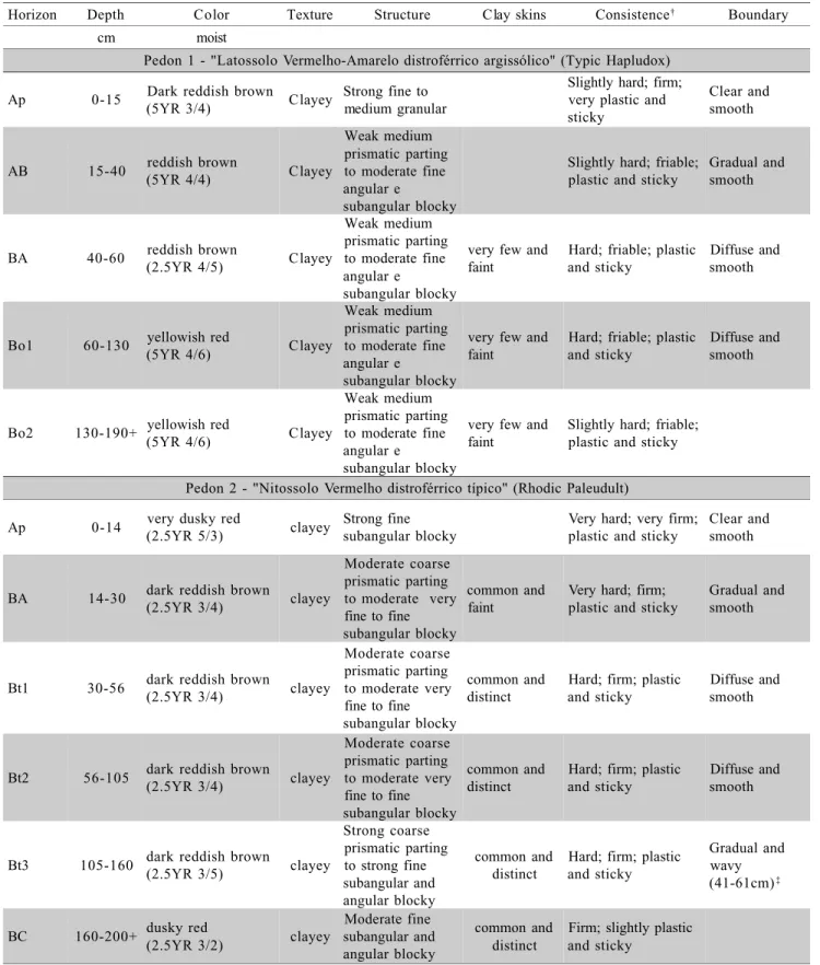 Table 1 - Morphology of two soil profiles developed from basic rock of Pernambuco State.
