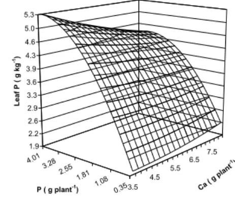 Figure 1 - Leaf concentration of mineral elements in 5-mo-old Rangpur lime seedlings: nitrogen (A), phosphorus (B), potassium (C), calcium (D), magnesium (E), and sulfur (F).