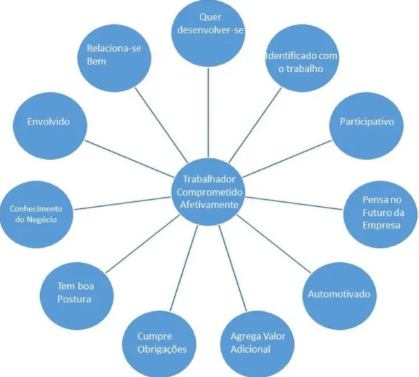 Figura 2:  Mapa de Desenvolvimento do Comprometimento Afetivo dos Colaboradores ( Moscon,  Bastos e Souza