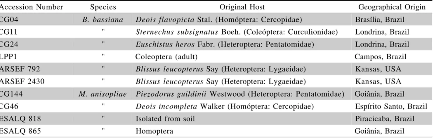 Table 1 - Details of the isolates of entomopathogenic fungi used in tests for pathogenicity and virulence against Blissus antillus.