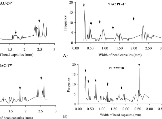 Figure 1 - Frequency and width of head capsules from Anticarsia gemmatalis caterpillars reared on ‘IAC 24’ and ‘IAC 17’ soybean leaves