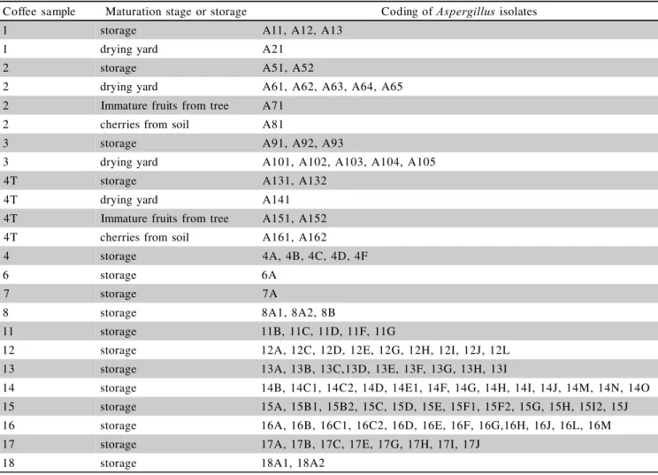 Table 1 - Isolates of Aspergillus spp. from coffee beans sampled from different origins.