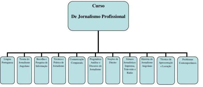 Figura 4: Disciplina leccionadas no curso de Jornalismo Profissional 