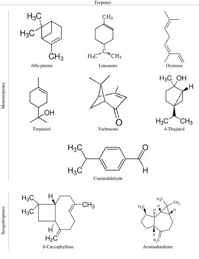 Figure 1.1. Main chemical compounds of essential oils with antimicrobial effect against foodborne pathogens 
