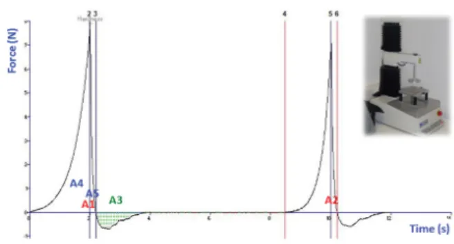 Figure 2.Texture profile analysis for one sample of fresh kiwi.