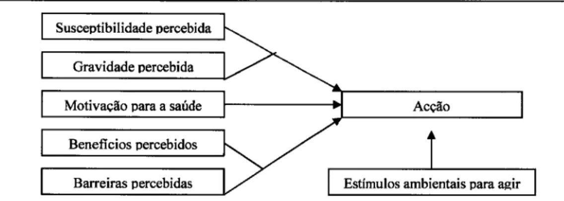 Figura  1.1.  -  Modelo  de  uenças  de  saúde  (Adaptado  de  Bennett  e  Murphy,  1999).