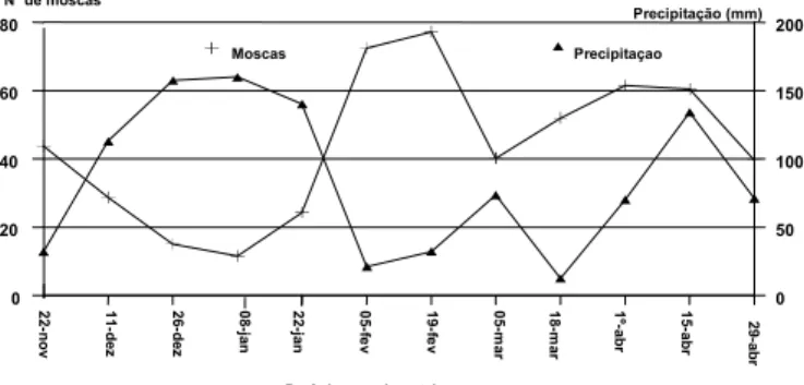 Fig. 1. Número médio de mosca-dos-chifres em vacas Nelore não protegidas por inseticidas e precipitação (mm) acumulada entre as contagens, efetuadas a cada 14 dias, durante o período  expe-rimental de nov./1991 a abr./1992 (158 dias).