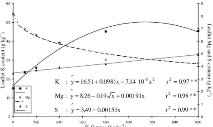 Figure 4 - Effects of various rates of application of K 2 O on potato leaflet K, Mg and S concentrations.