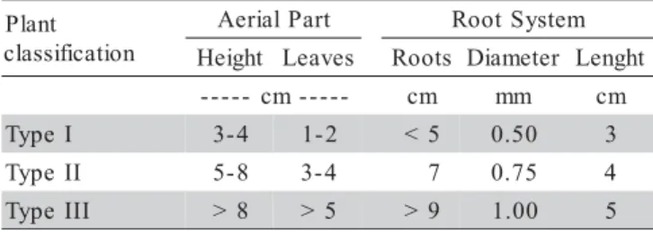 Table 1 - Classification and morphological characteristics of the  in vitro regenerated plants used for the acclimatization test